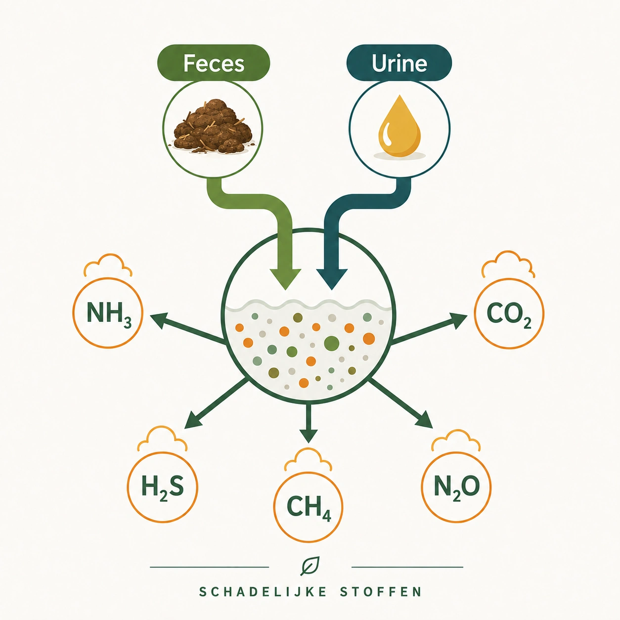 Schema van emissies die ontstaan wanneer urine en feces met elkaar reageren