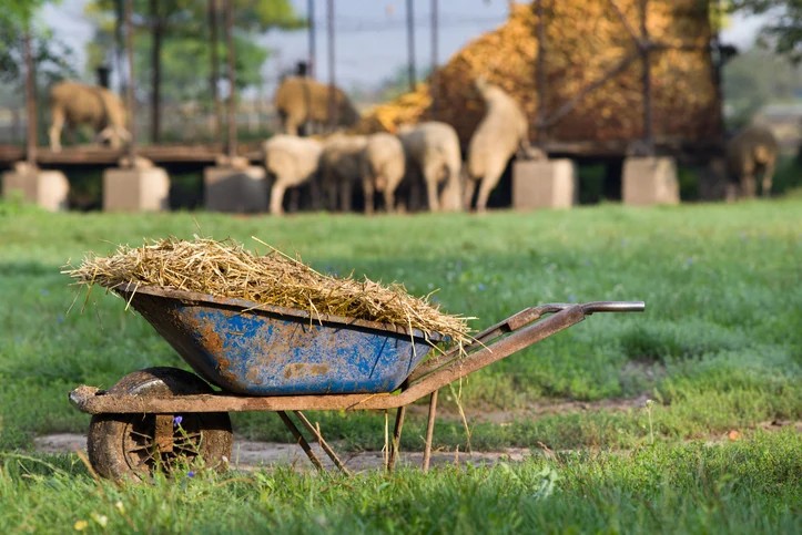 Hergebruik van meststoffen en nutriënten in de landbouw